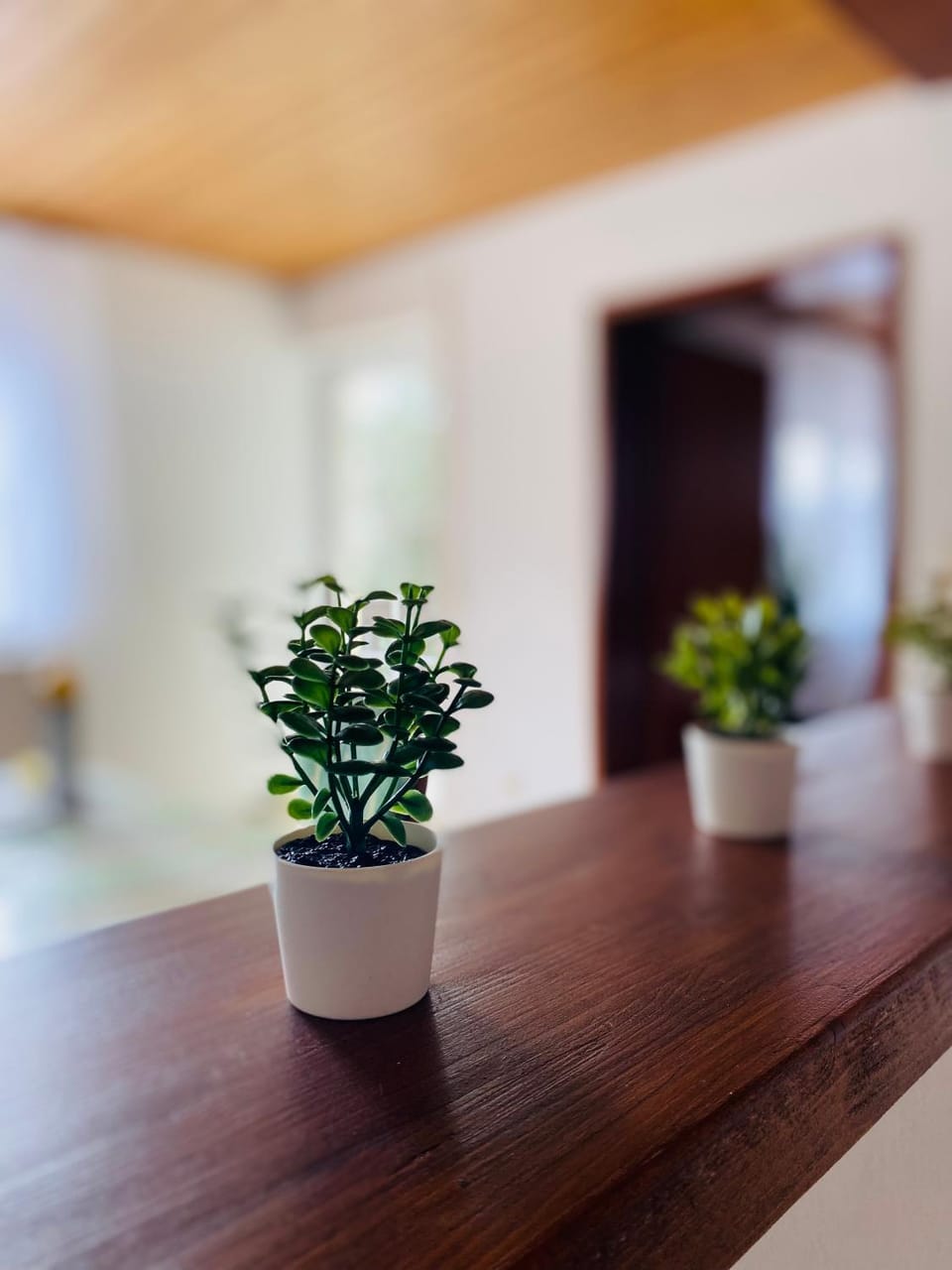 Ferienwohnung Antonia Apartment in Bavaria