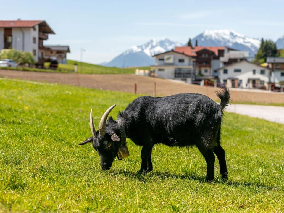 Area and facilities