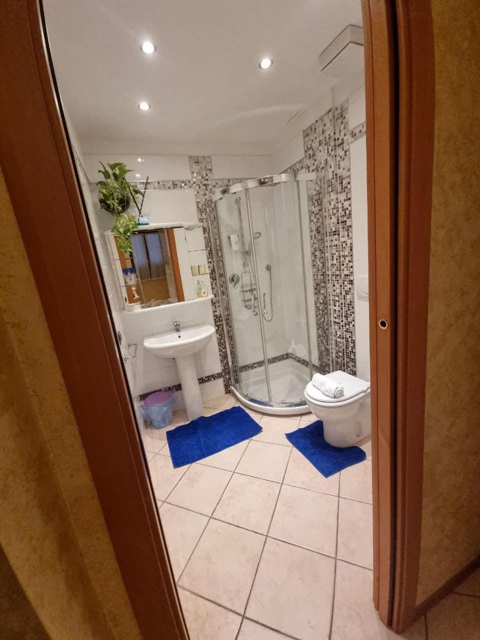 Shower, Toilet, Bathroom