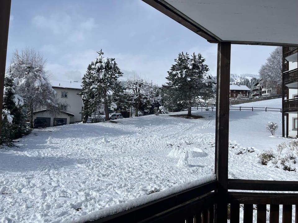 Natural landscape, Winter, Garden view