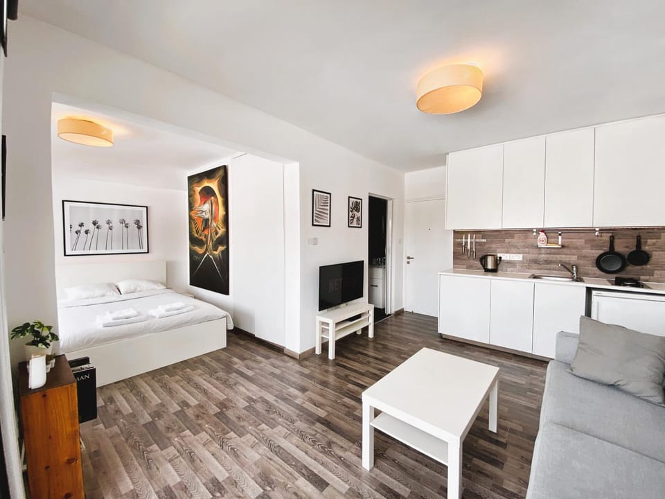 Bed, TV and multimedia, Kitchen or kitchenette, Living room, Photo of the whole room, Seating area