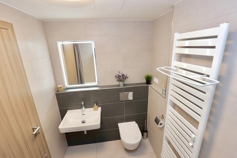Toilet, Bathroom, towels