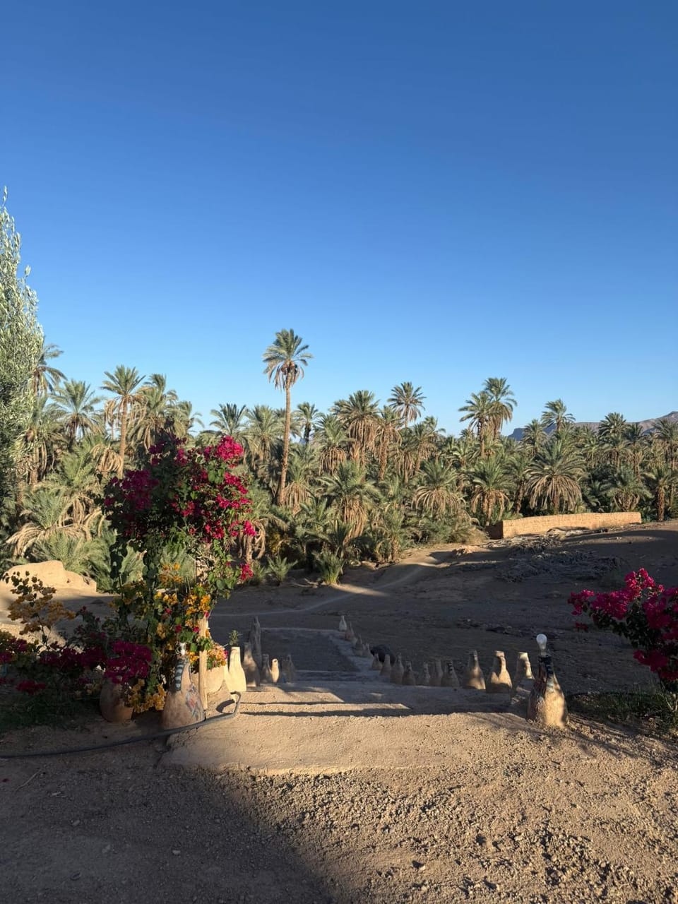 kasbah panorama chez Alilouch Bed and Breakfast in Morocco