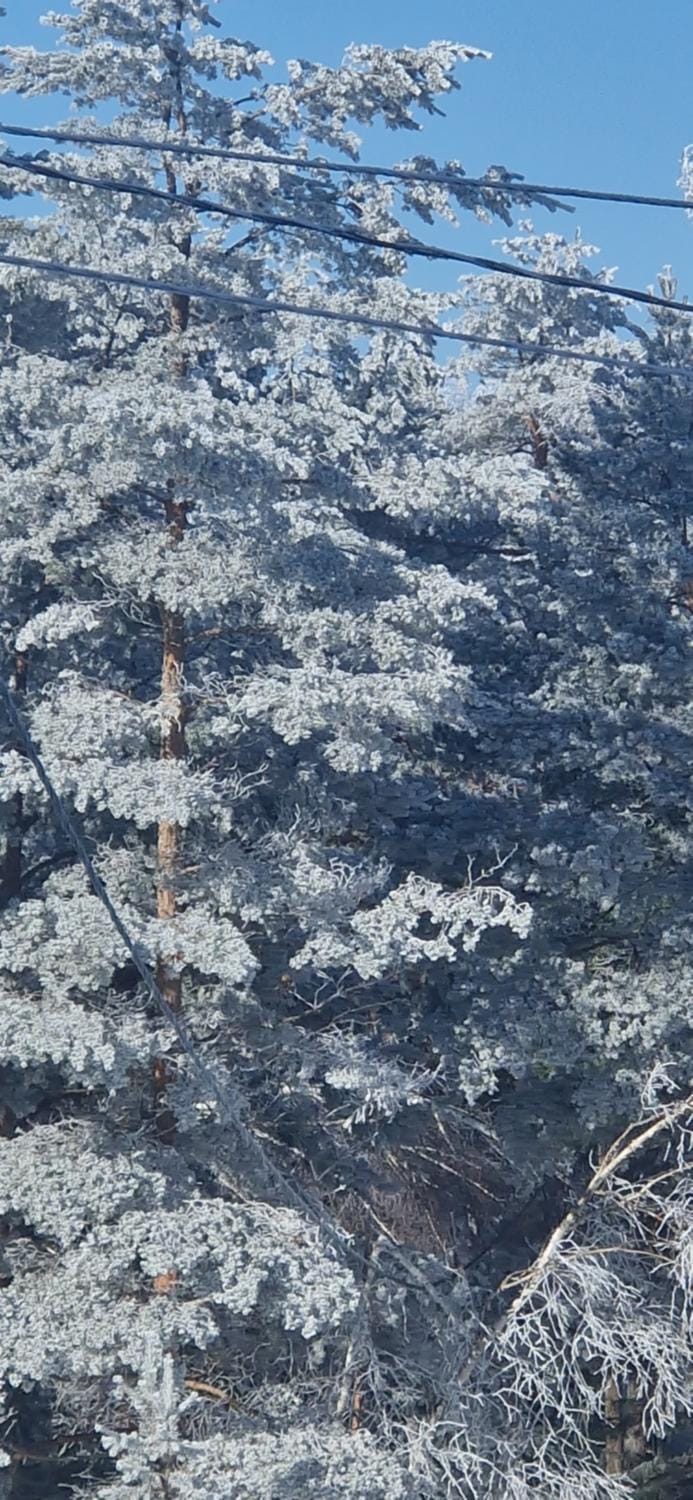 Day, Natural landscape, Winter