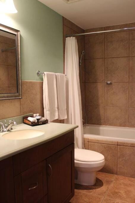 Shower, Toilet, Bathroom, Bath, towels