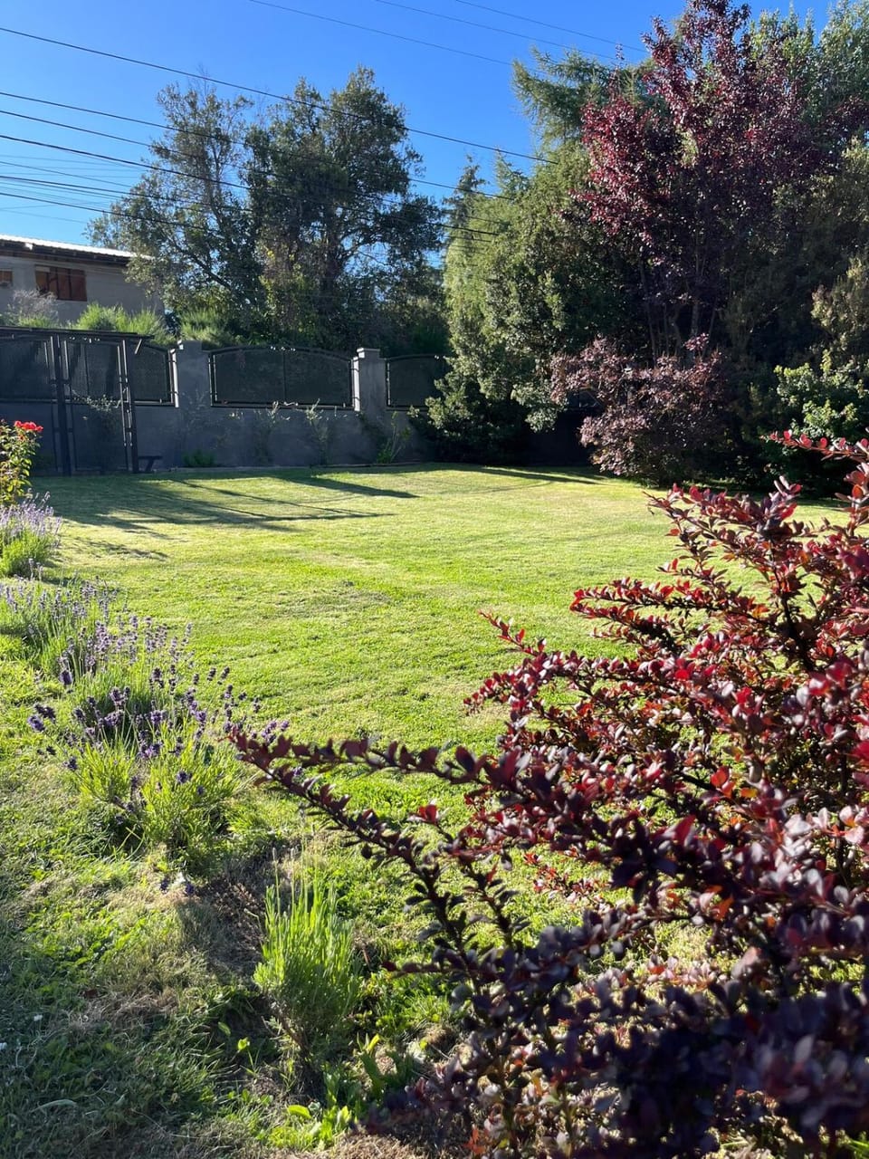 Garden, Garden view