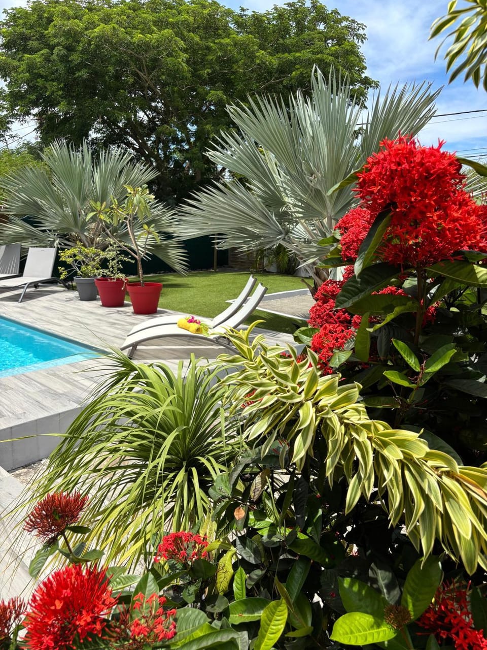 La villa rouge Apartment in Grande-Terre, Guadeloupe
