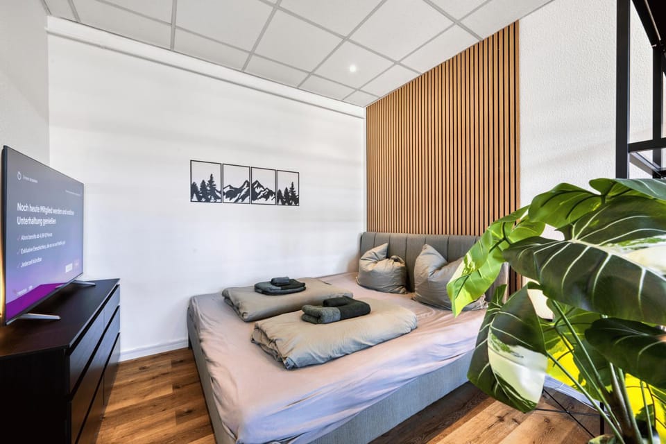 Bed, TV and multimedia, Photo of the whole room, Bedroom
