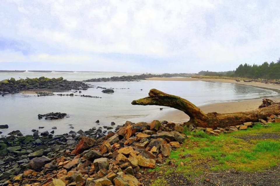 Tiki Escape w/ Amazing Mountain and Marsh Backdrop House in Rockaway Beach