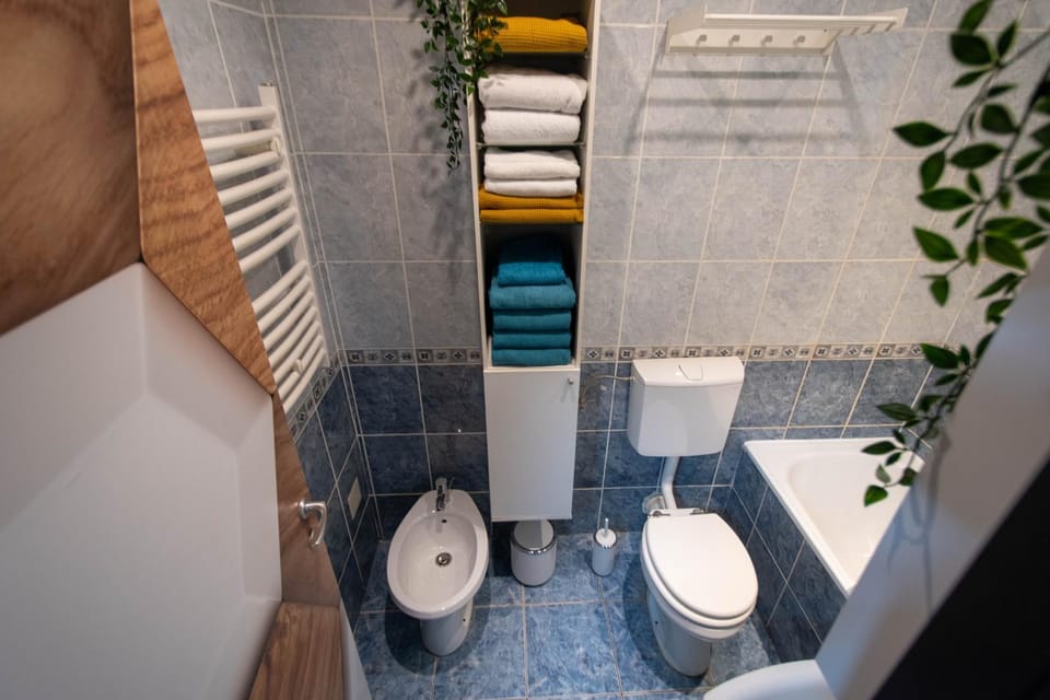 Shower, Toilet, Bathroom, bidet, towels