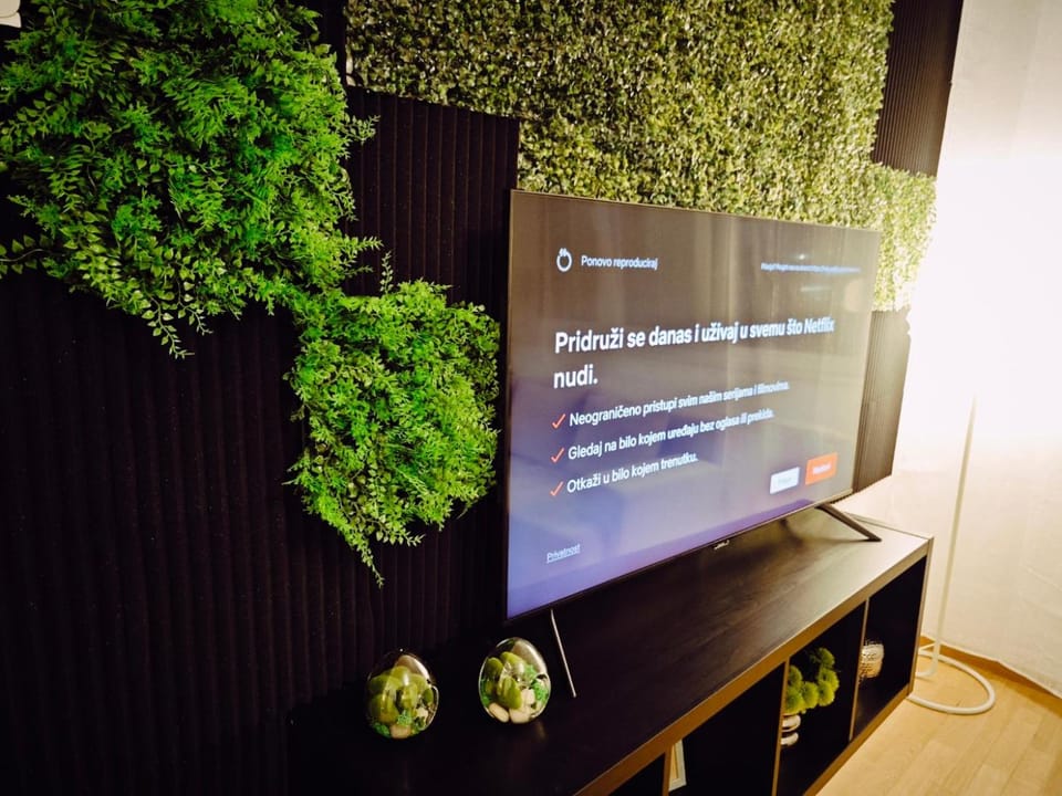 TV and multimedia