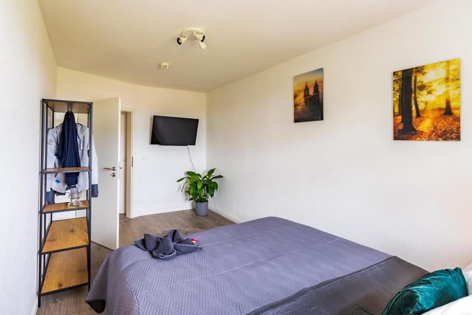 Bed, TV and multimedia, Photo of the whole room, Bedroom