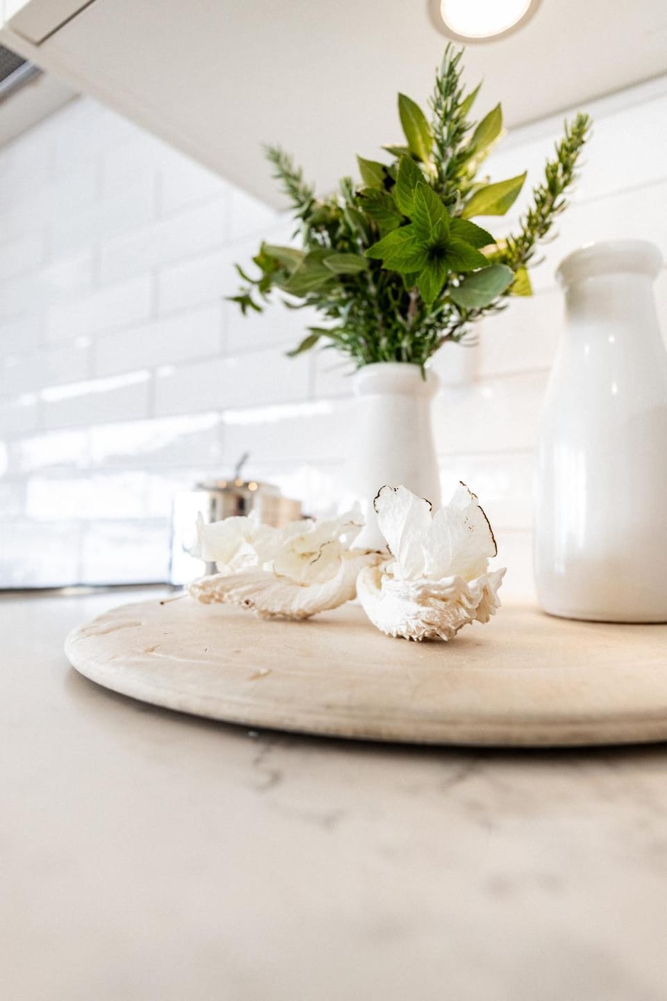 Nautilus ~ Bay of Fires House in Binalong Bay