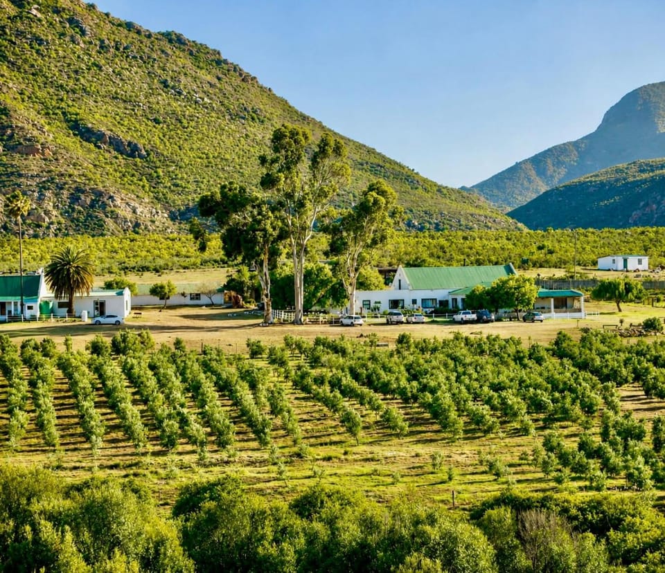 Bronze Grove Farm and Chalets Chalet in Western Cape