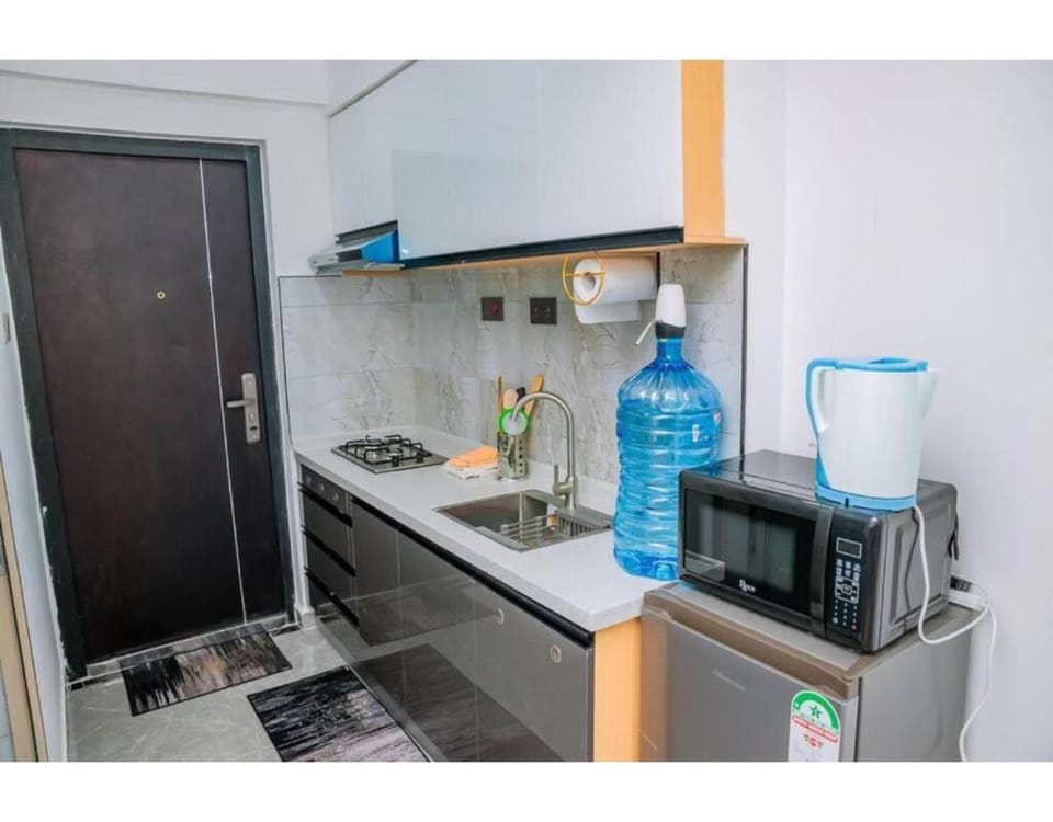 Kitchen or kitchenette, microwave, stove, kitchen