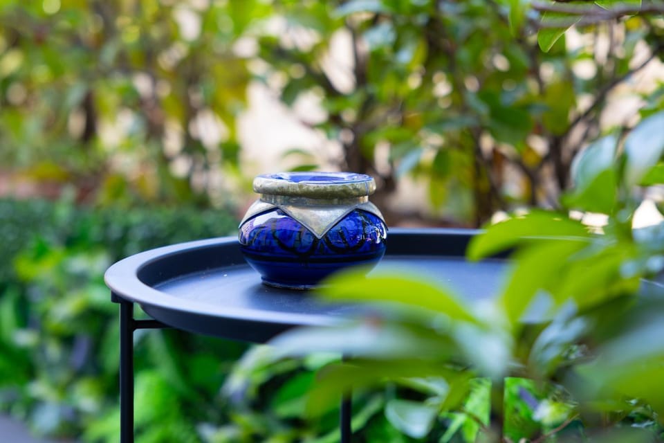 Spring, Day, Garden, Garden view