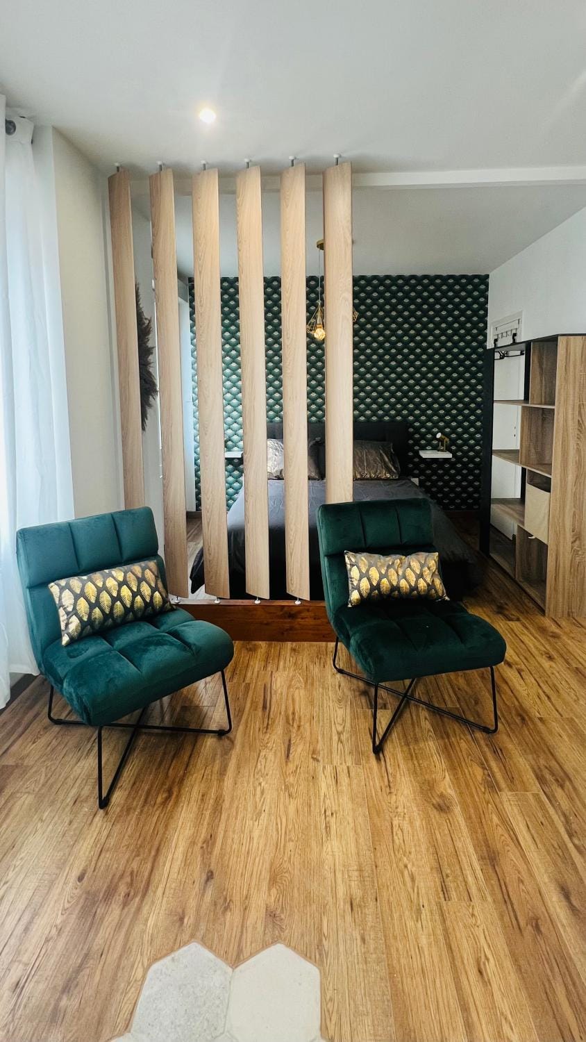 Détente, Spa et Parking privé Apartment in Lyon