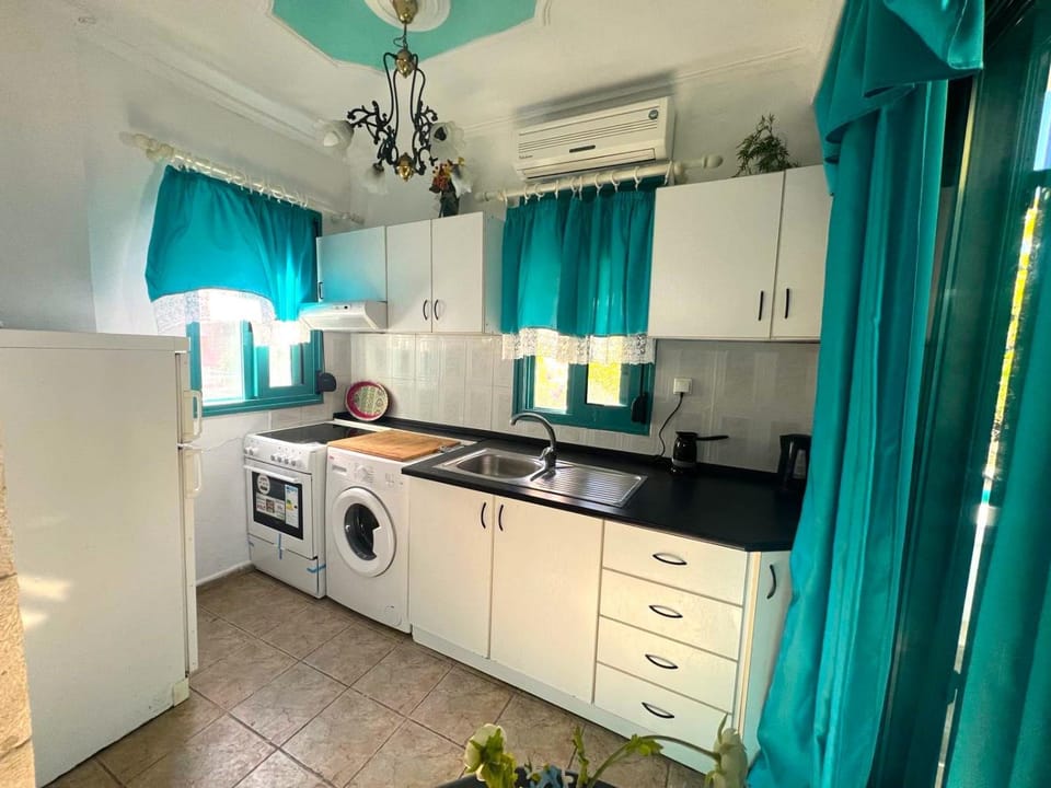 Kitchen or kitchenette, pet friendly, washing machine, air conditioner