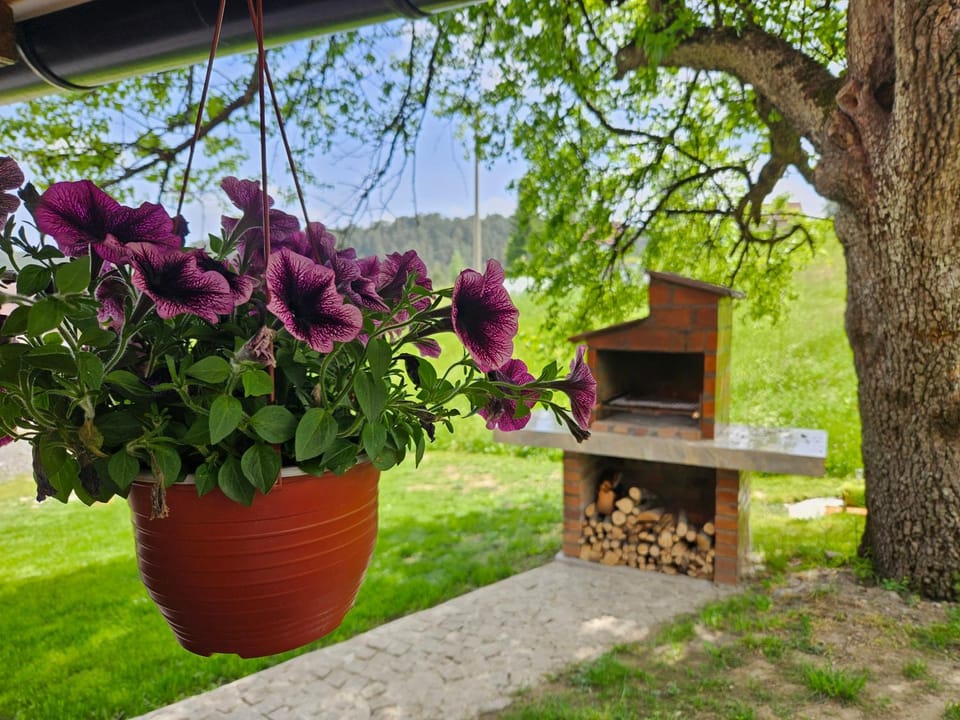 Brvnara ispod stare kruške House in Zlatibor District, Serbia