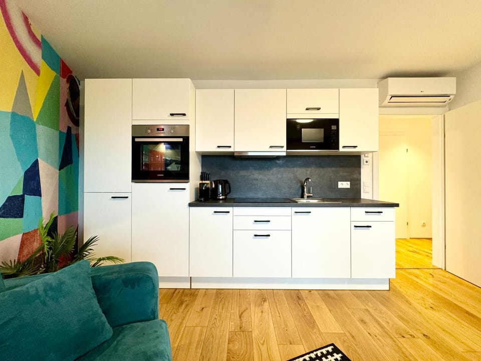Kitchen or kitchenette, minibar, pet friendly, stove, air conditioner