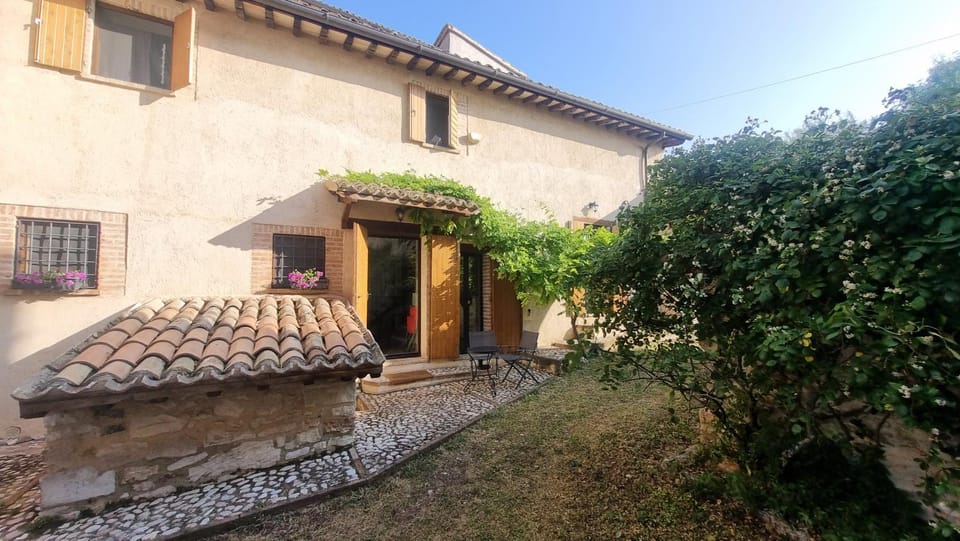 Property building, Garden, Garden view