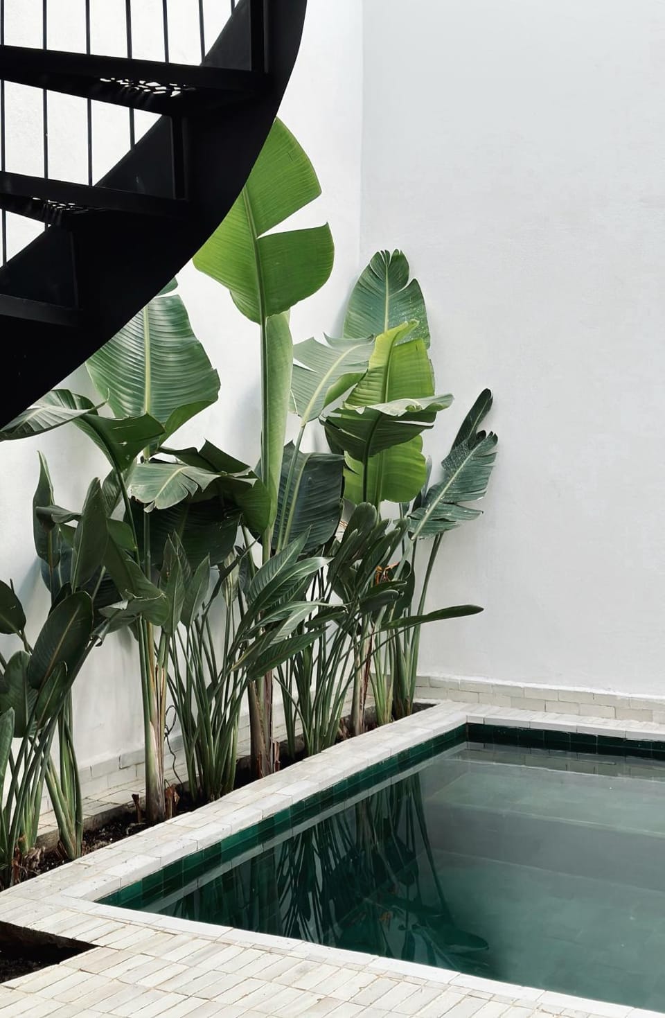 Pool view, Swimming pool