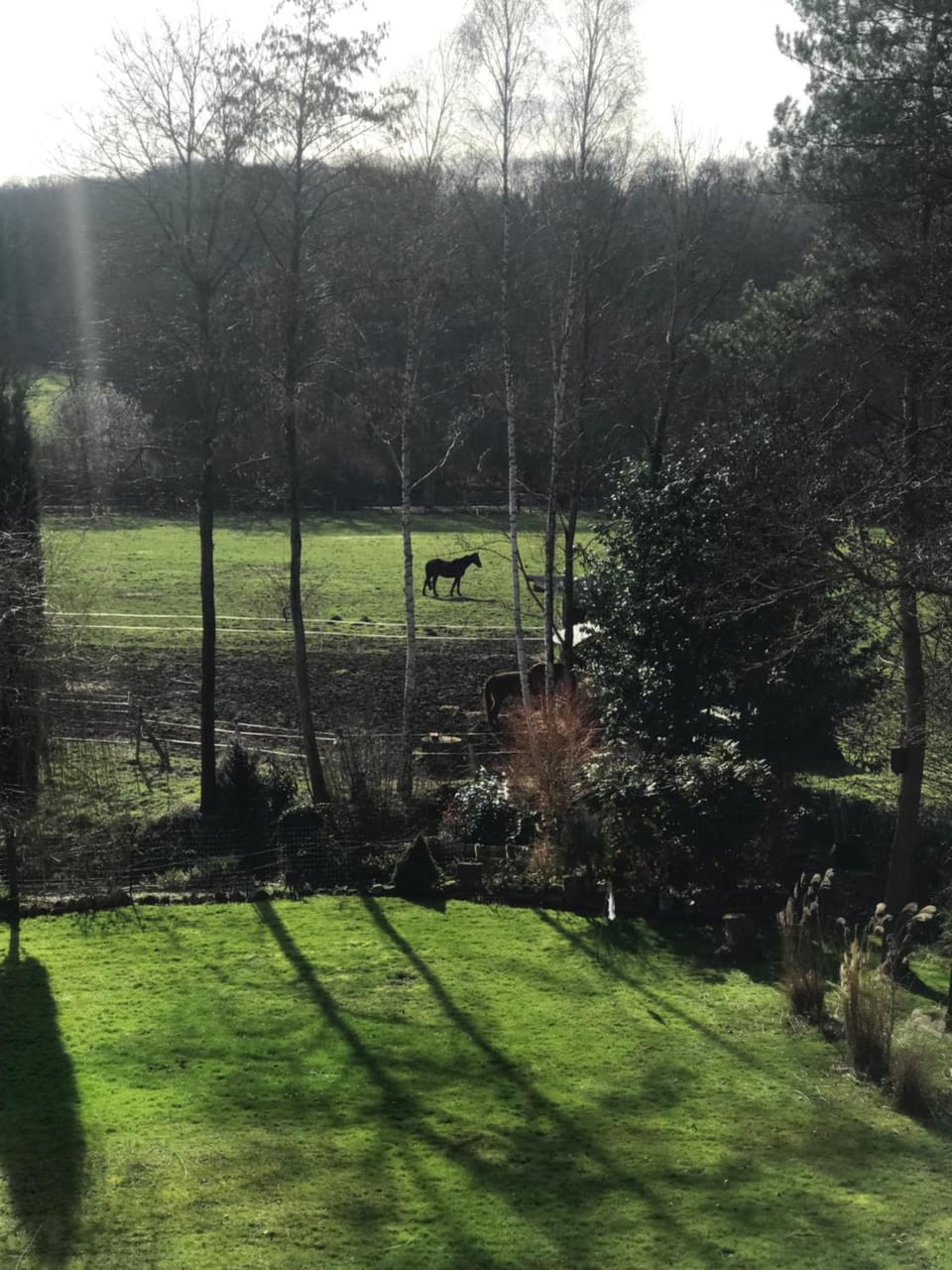 Natural landscape, Garden, Garden view