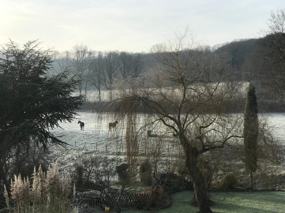 Natural landscape, Garden, Garden view