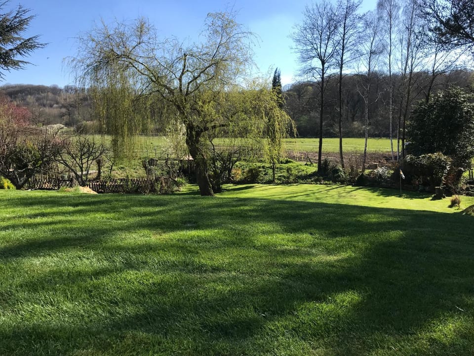 Garden view