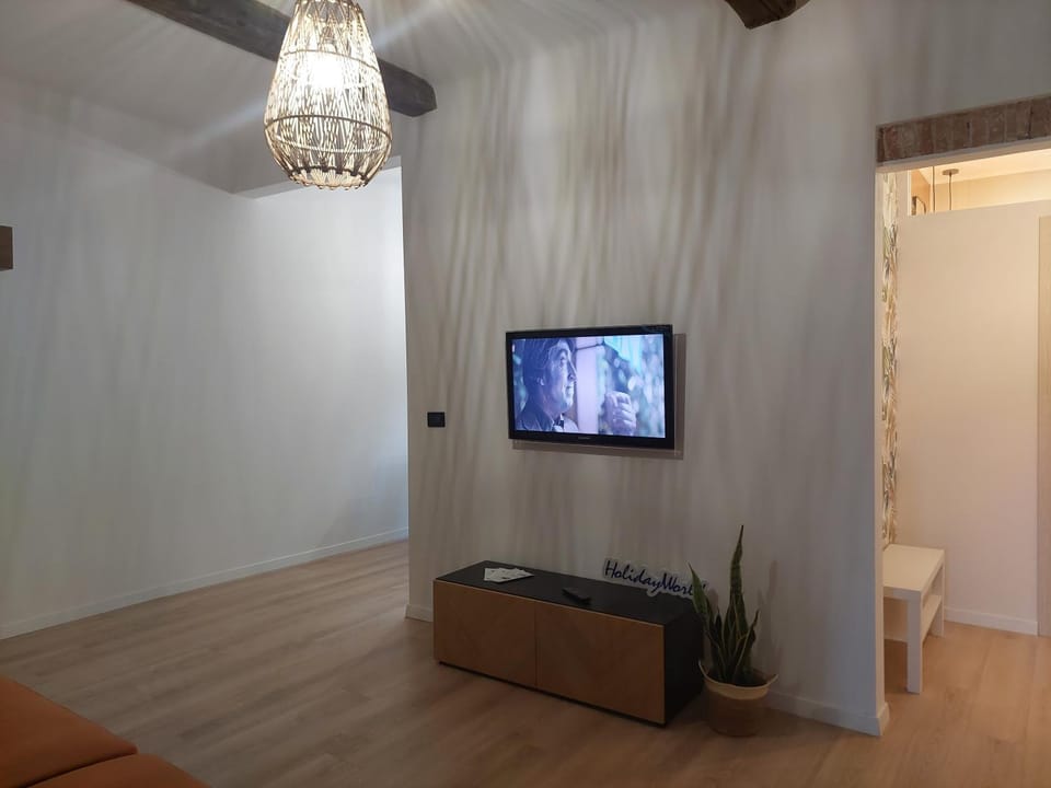 TV and multimedia