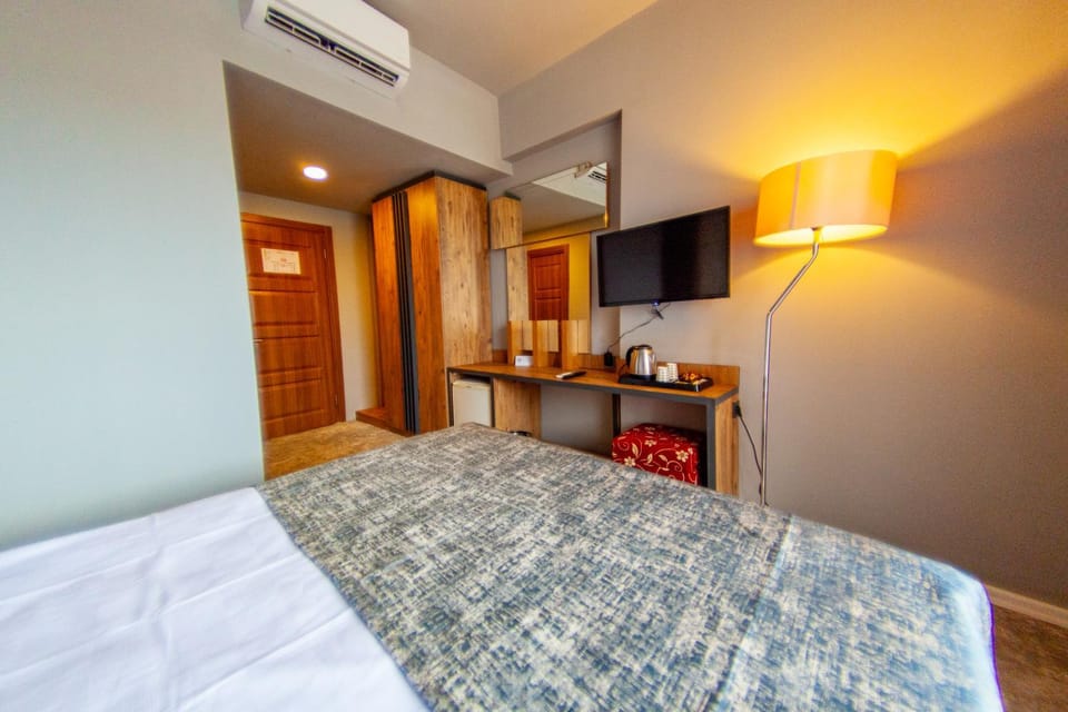 Bed, TV and multimedia, Bedroom, minibar, air conditioner