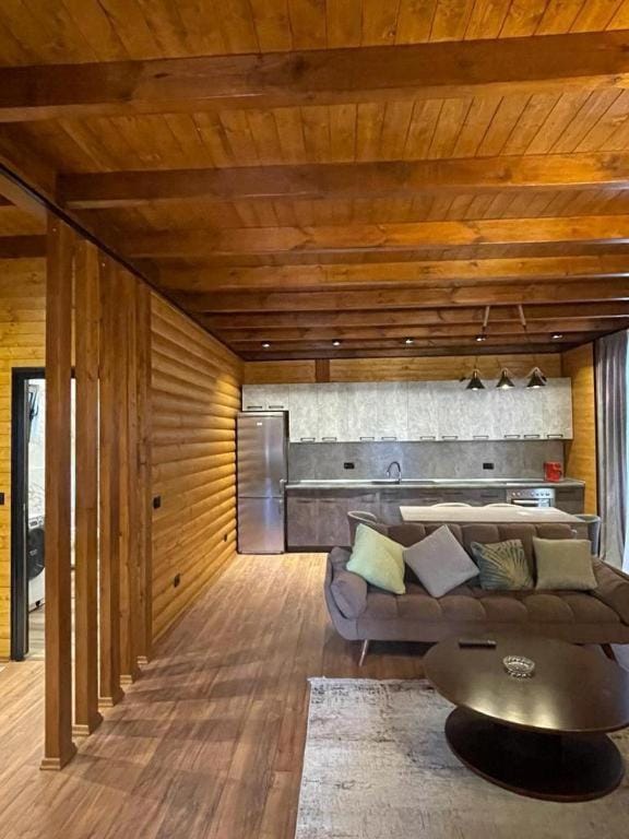 Living room, kitchen, kitchen