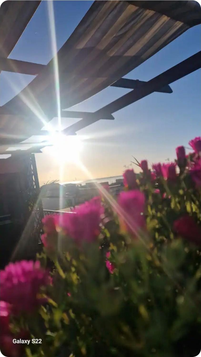 Spring, Day, Natural landscape, Sunrise