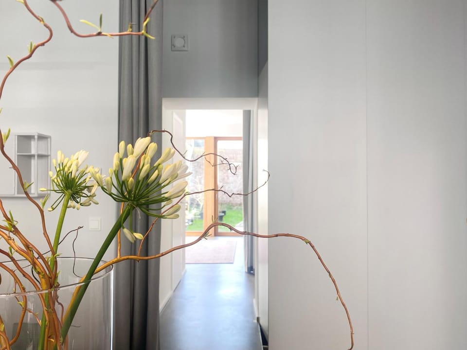 Garden view, kitchen