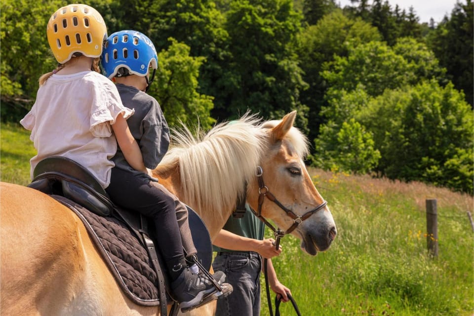 Horse-riding, Animals