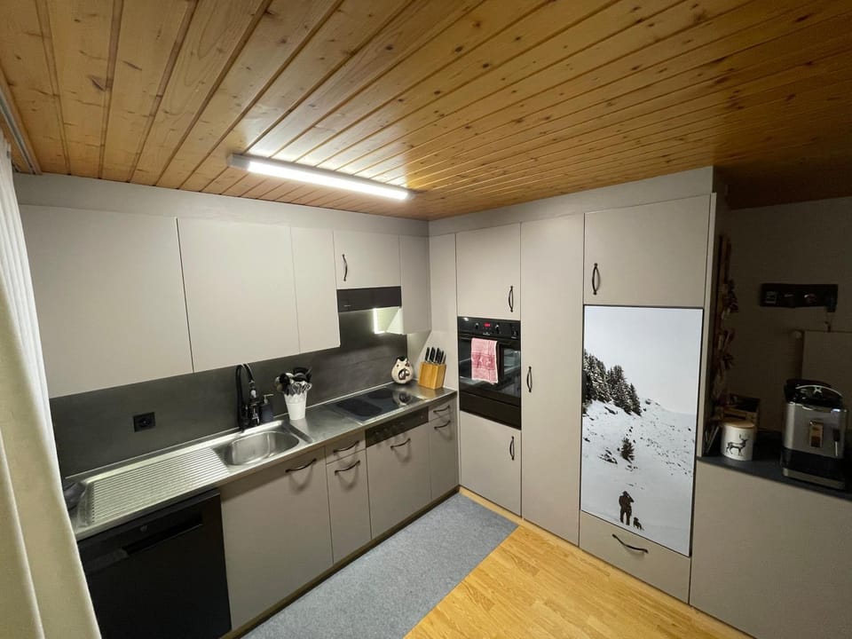 Kitchen or kitchenette, dishwasher, stove