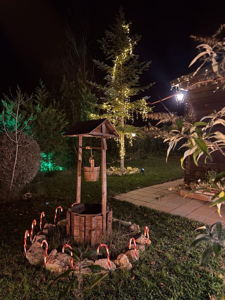 Night, Garden view