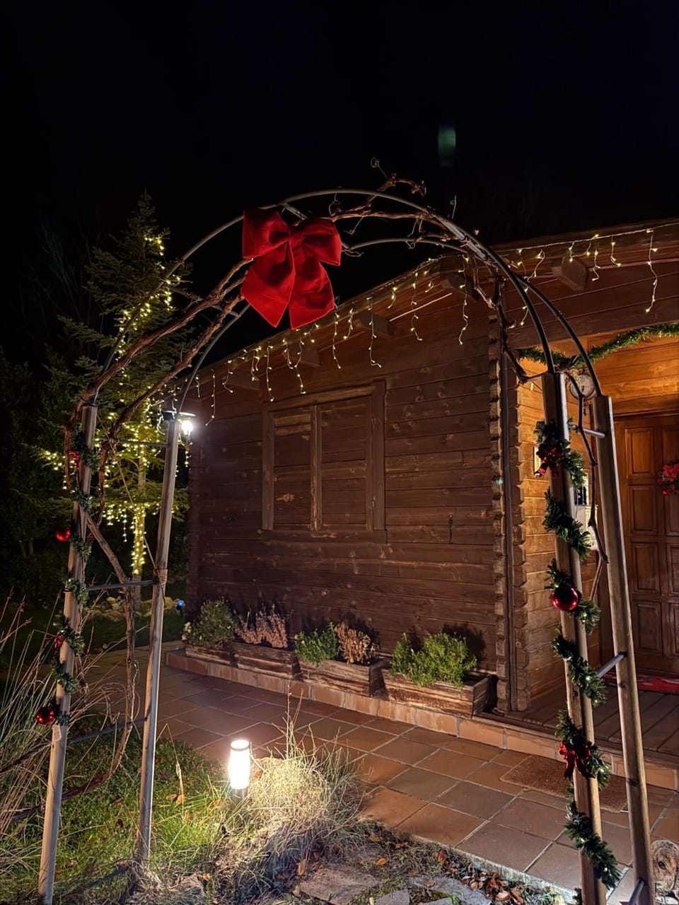 Night, Garden