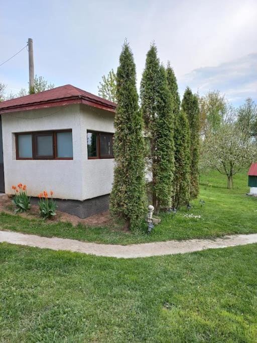 Spring, Garden