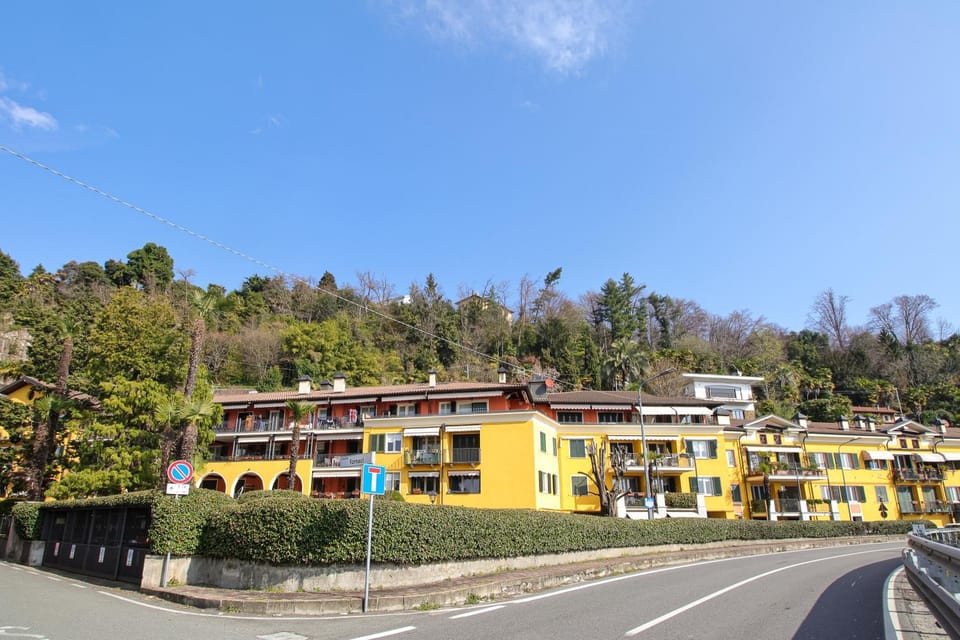 Spring, Day, Neighbourhood, Street view