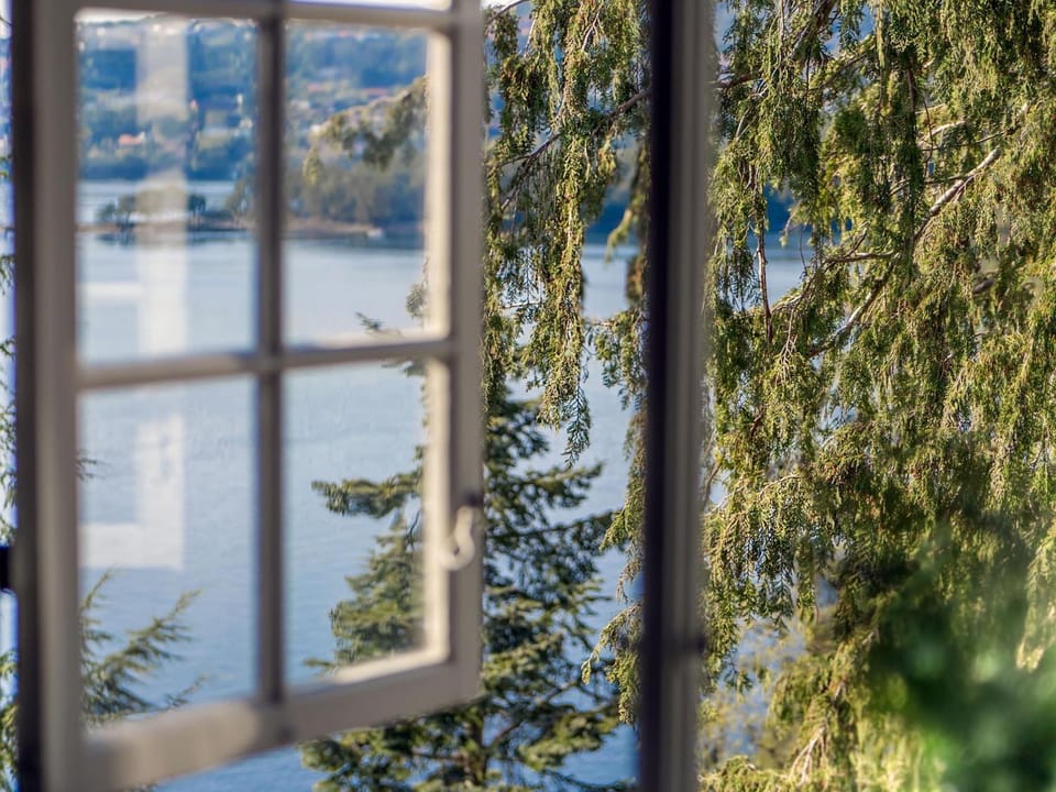 Lake view