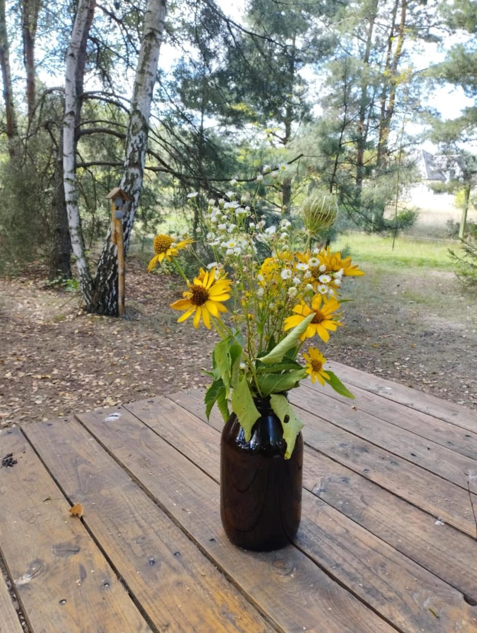 Ajurweda na Jurze Agroturystyka Farm Stay in Poland
