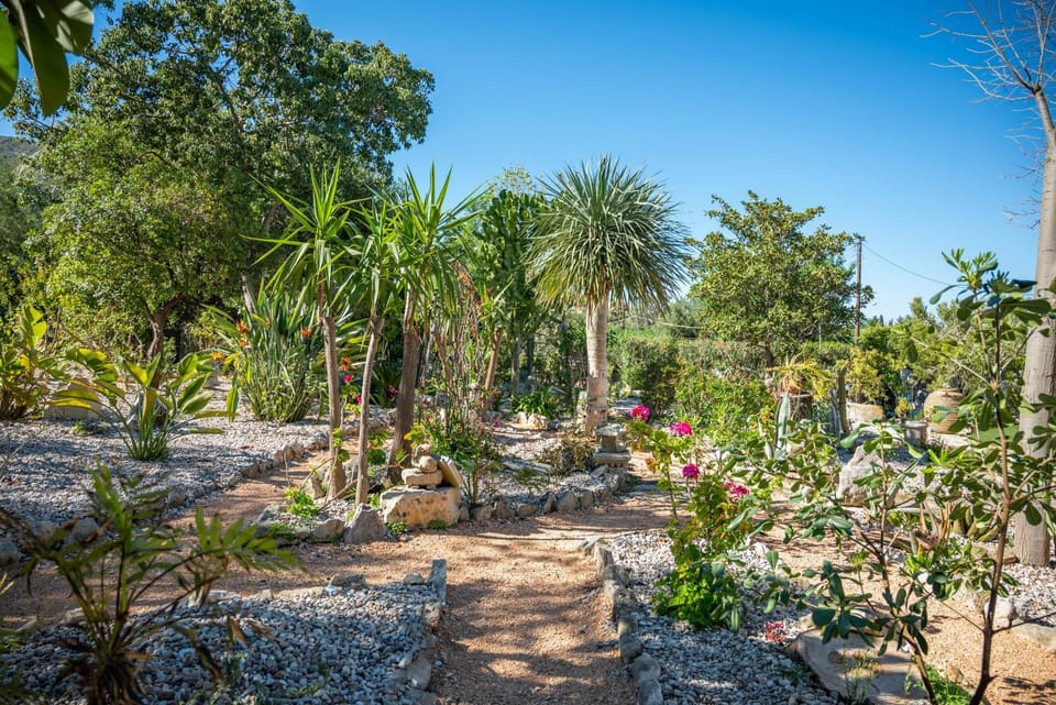 Natural landscape, Garden, Garden view