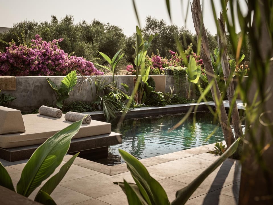 Natural landscape, Garden, Garden view, Pool view, Swimming pool, sunbed