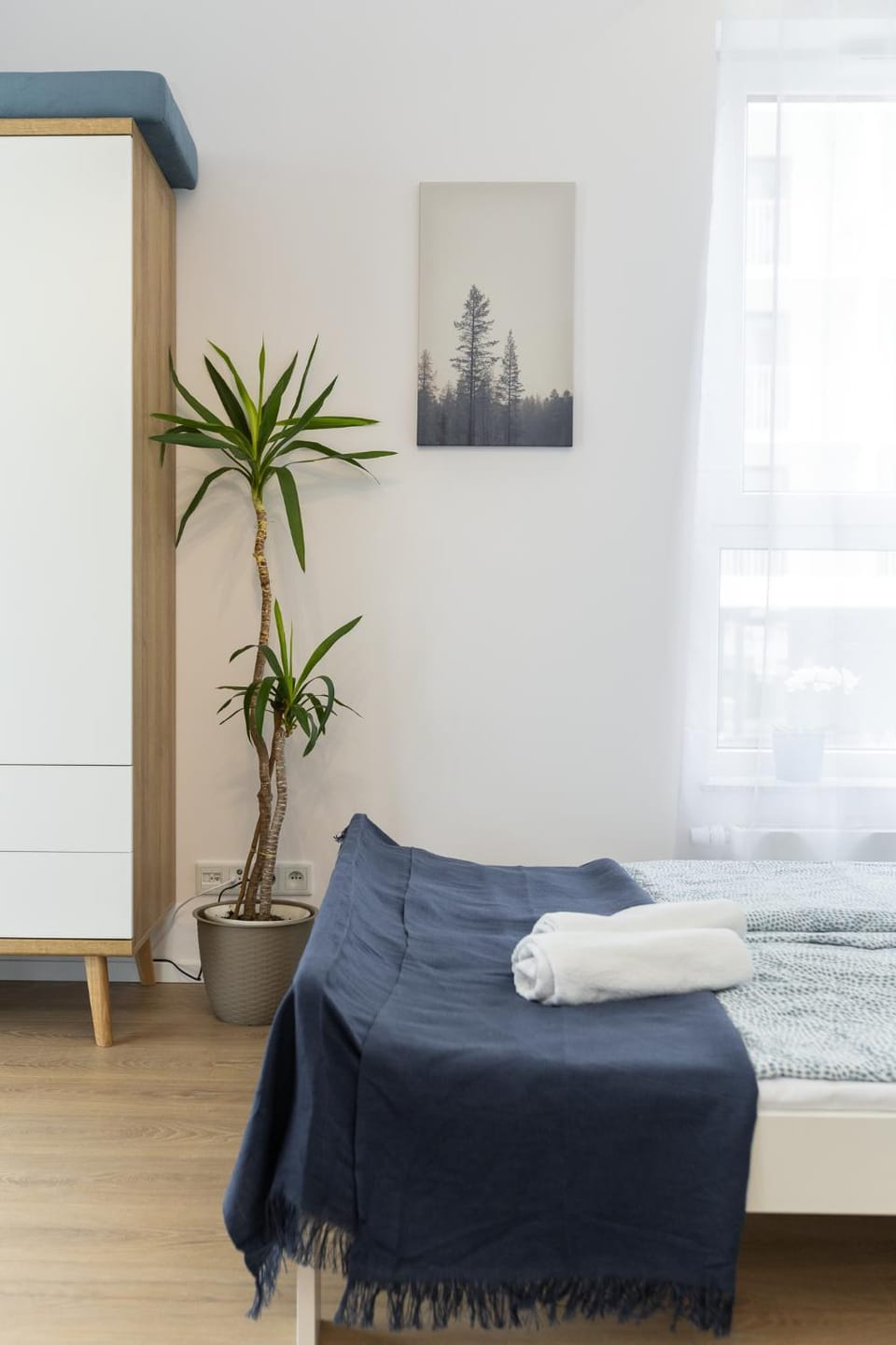 Bed, Photo of the whole room, towels
