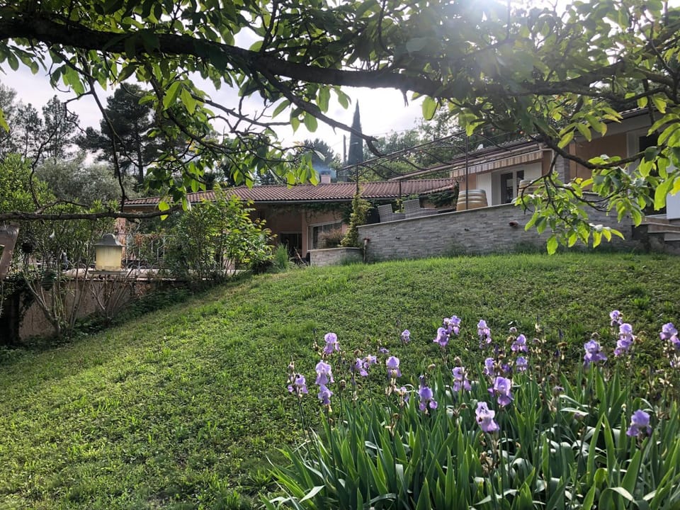 Property building, Spring, Day, Natural landscape, Garden, Garden view