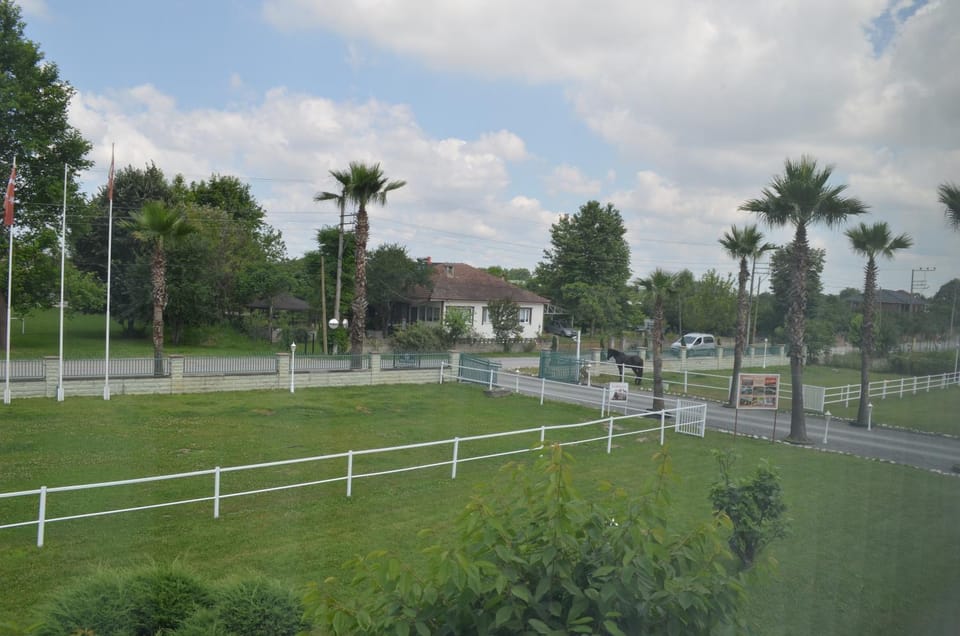 Natural landscape, Garden