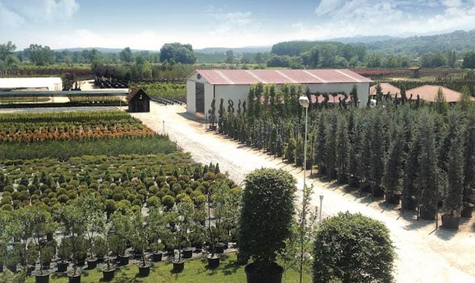 Natural landscape, Garden