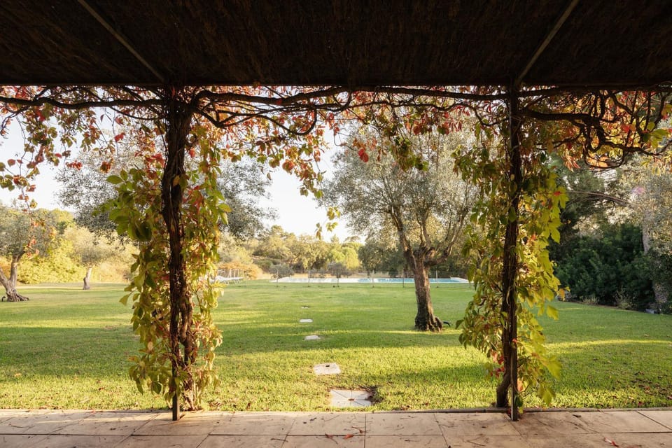 Patio, Garden, Garden view