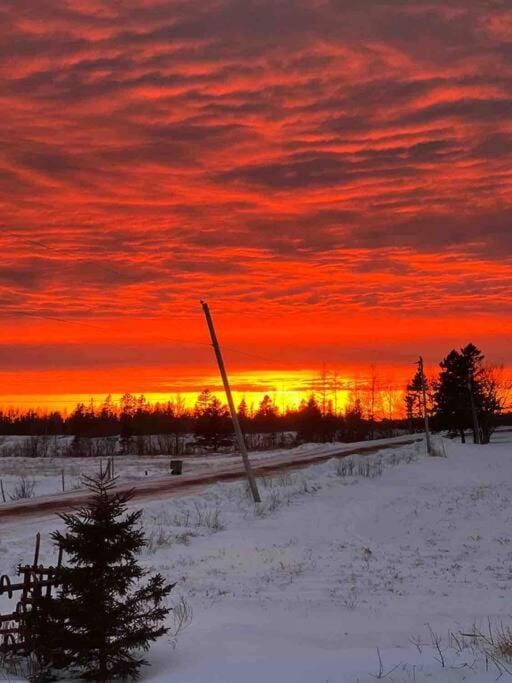 Sunset View House in Prince Edward County